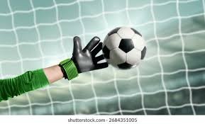 印第安韦尔斯网球赛｜范德赞舒尔普扳倒佐科维治 荷兰男单再造冷门